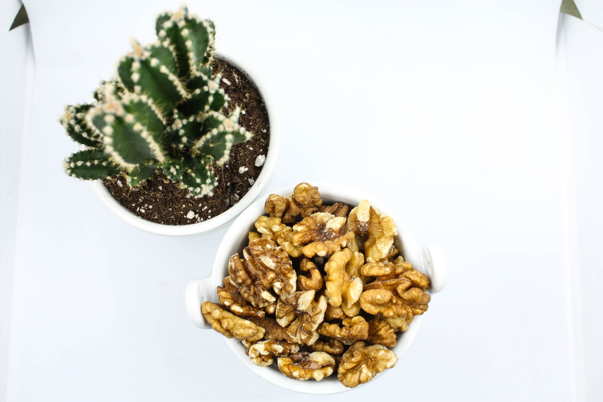nueces-peladas-1-scaled-1.jpg