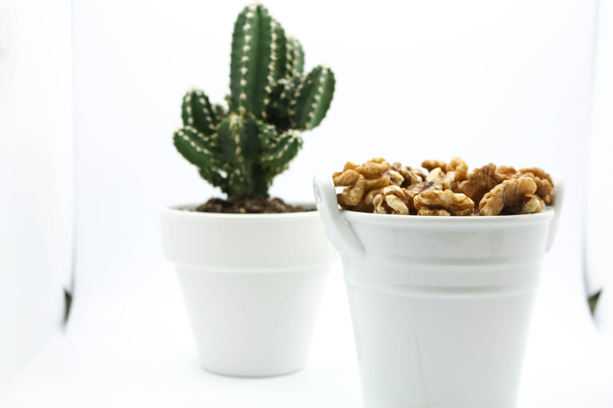 nueces-peladas-scaled-1.jpg